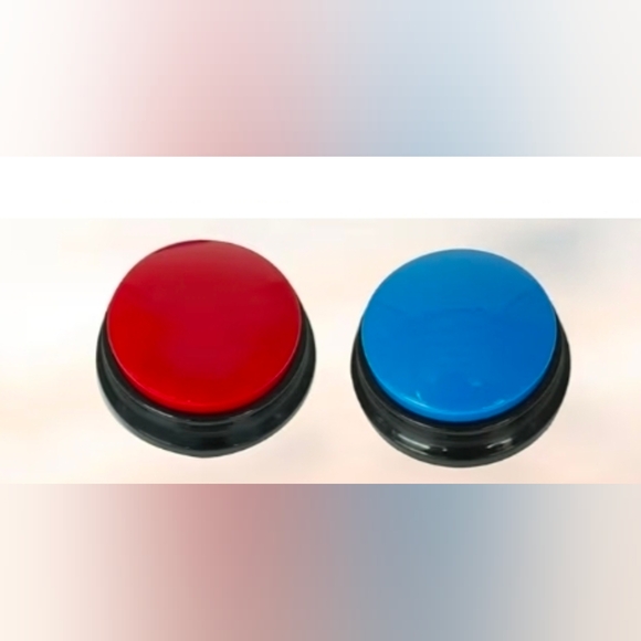 Boutique Other - YELLING BUTTON RECORD YOUR MESSAGE (2)